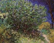 Vincent Van Gogh Bushes Sweden oil painting artist